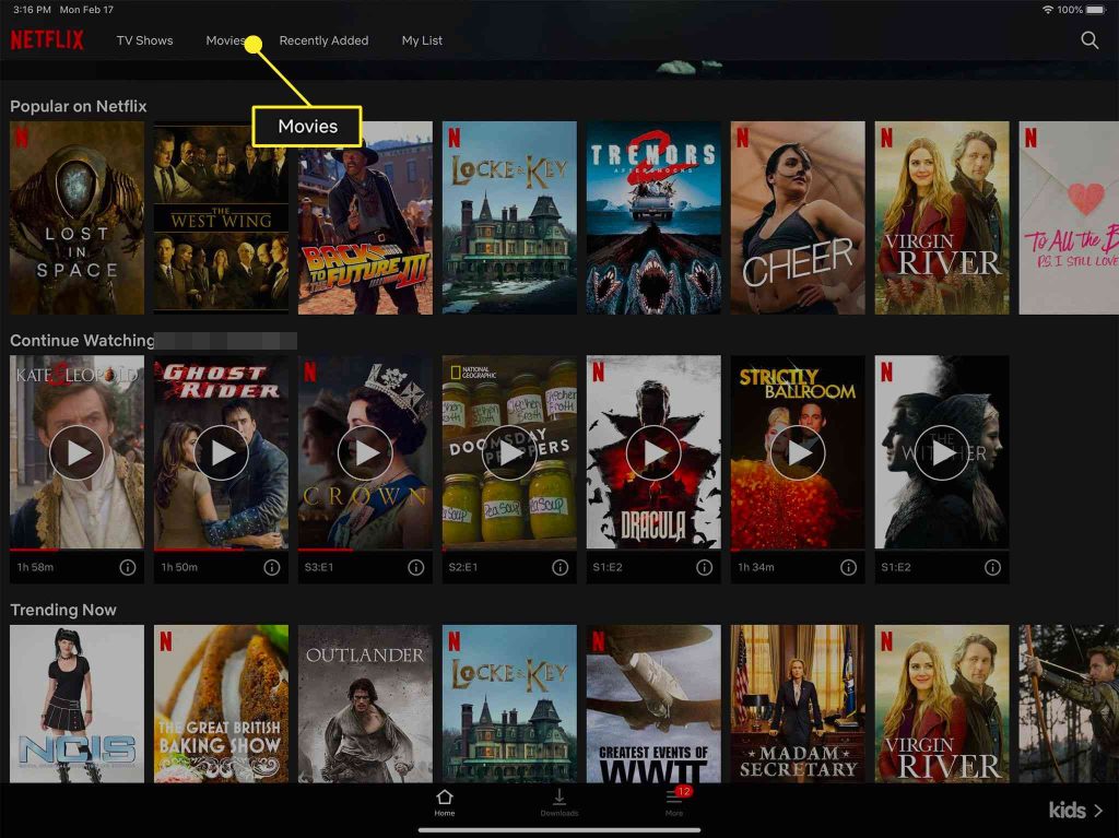 Alternative way to Download Netflix Videos